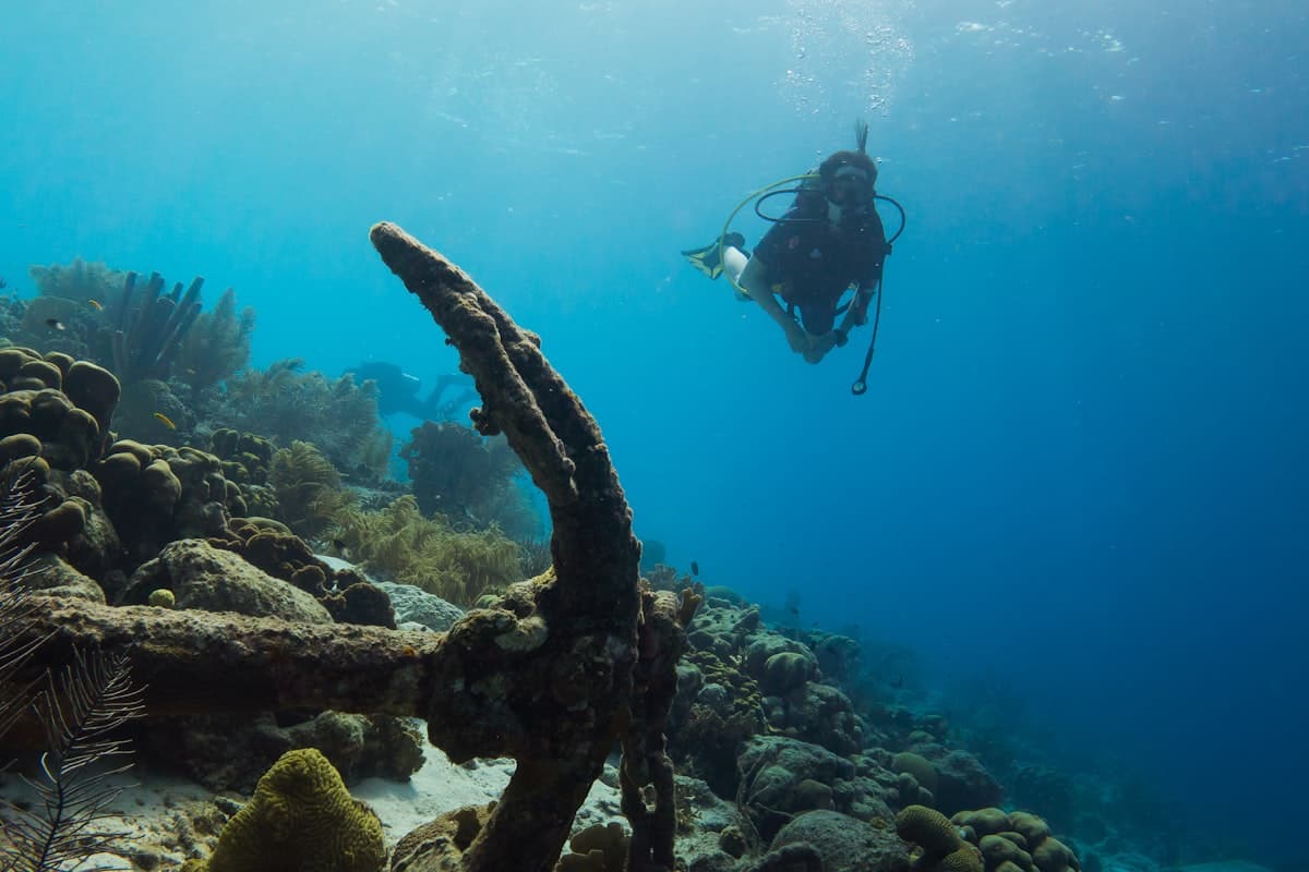 Coral reef and tropical island, Bonaire