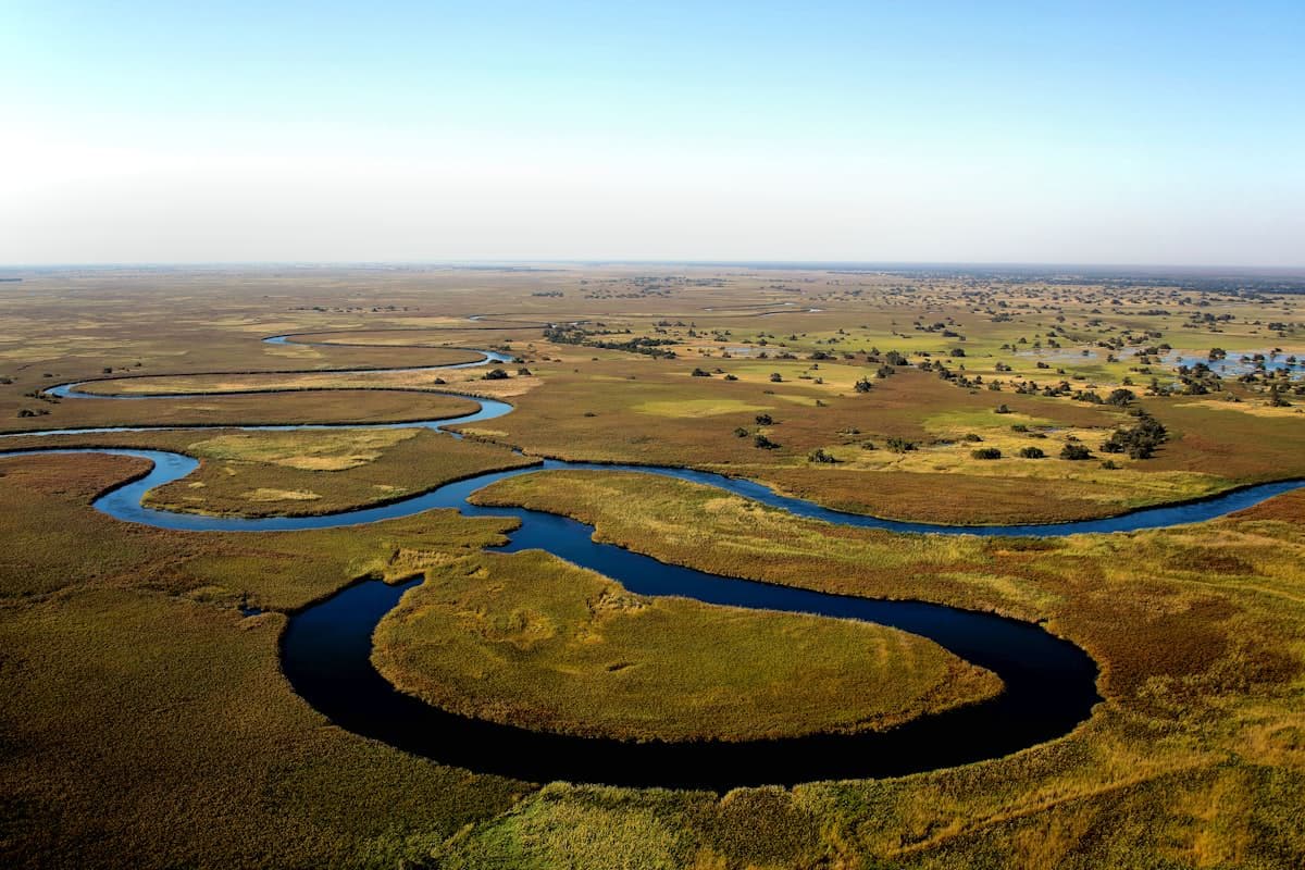 Wildlife in the Okavango Delta, Botswana