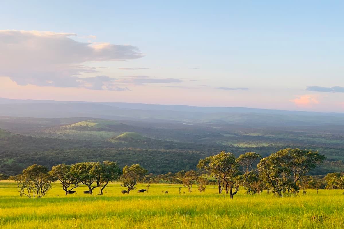 Green rolling hills, Burundi