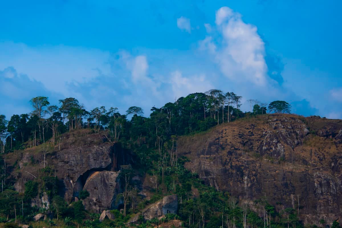 Green volcanic highlands, Cameroon