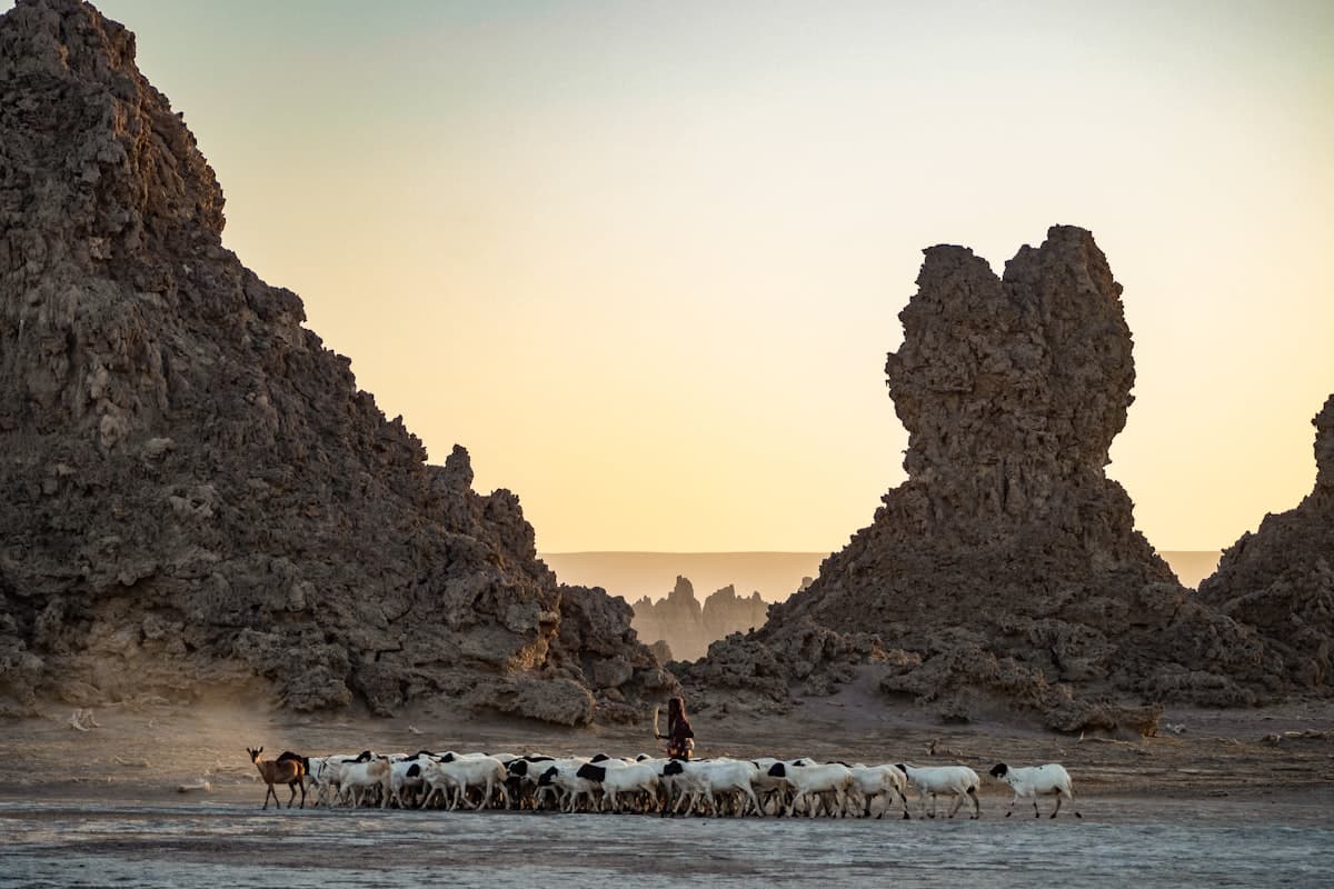 Desert meeting the coast, Djibouti