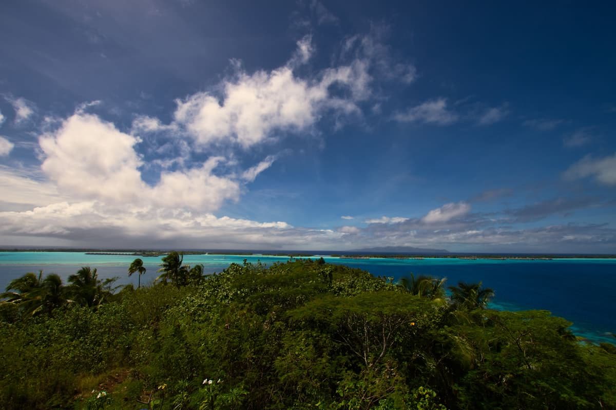 Turquoise lagoon and palm trees, French Polynesia