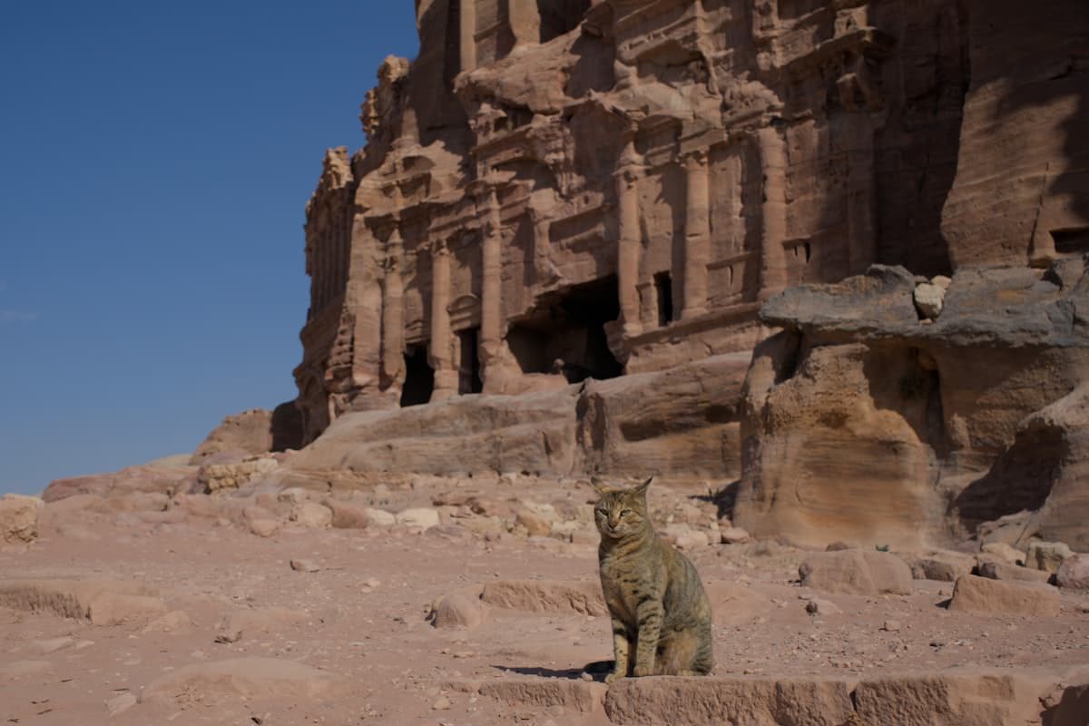Rose-red rock-carved city in the desert, Jordan