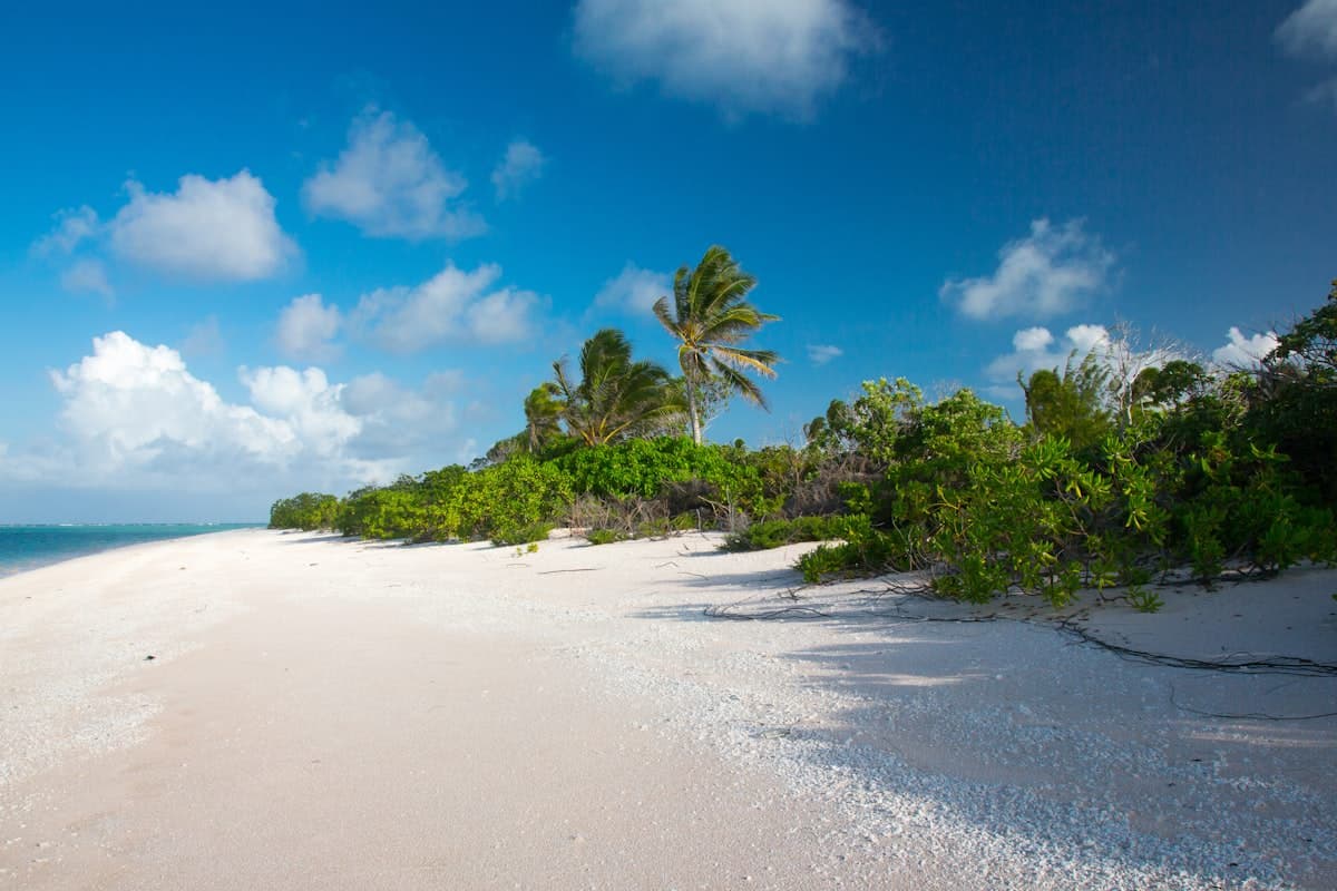 Palm-fringed Pacific beach, Marshall Islands