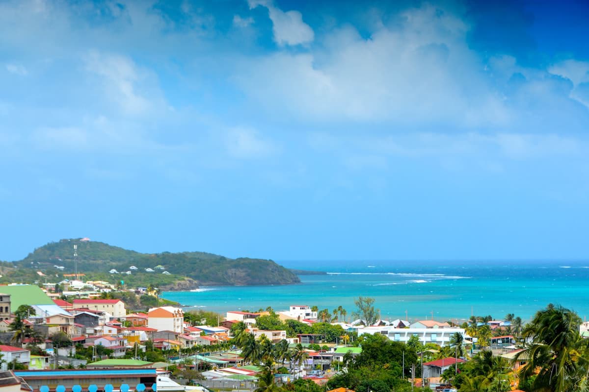 Tropical coastline with palm trees, Martinique
