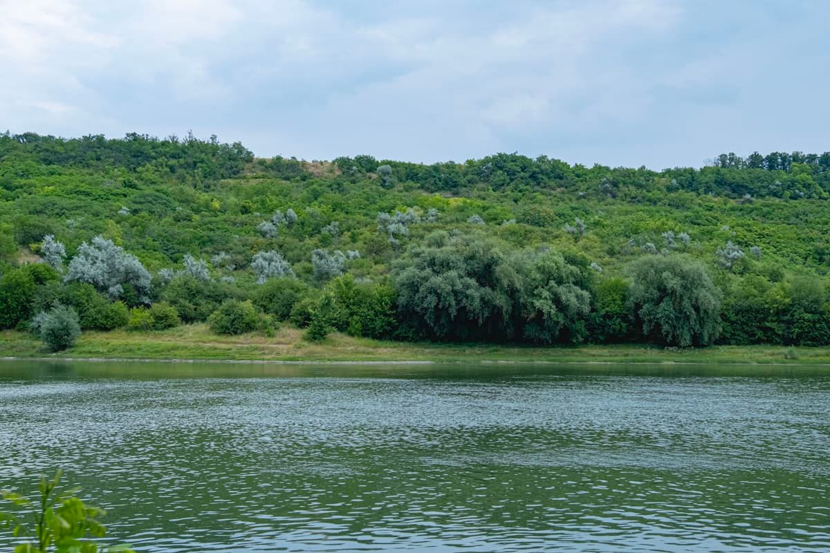 Rolling vineyard countryside, Moldova