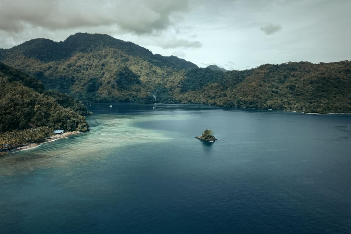 Lush tropical highlands, Papua New Guinea