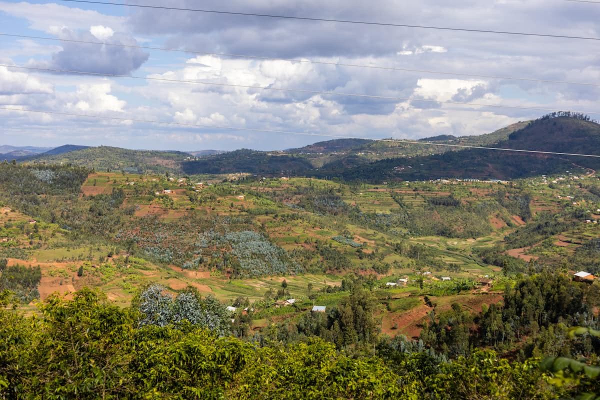 Lush green highlands, Rwanda