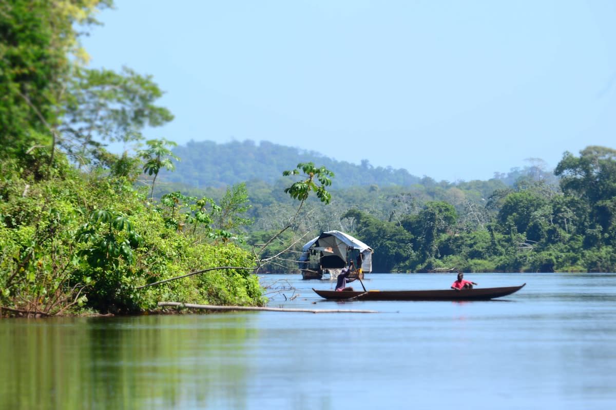 Tropical jungle interior, Suriname