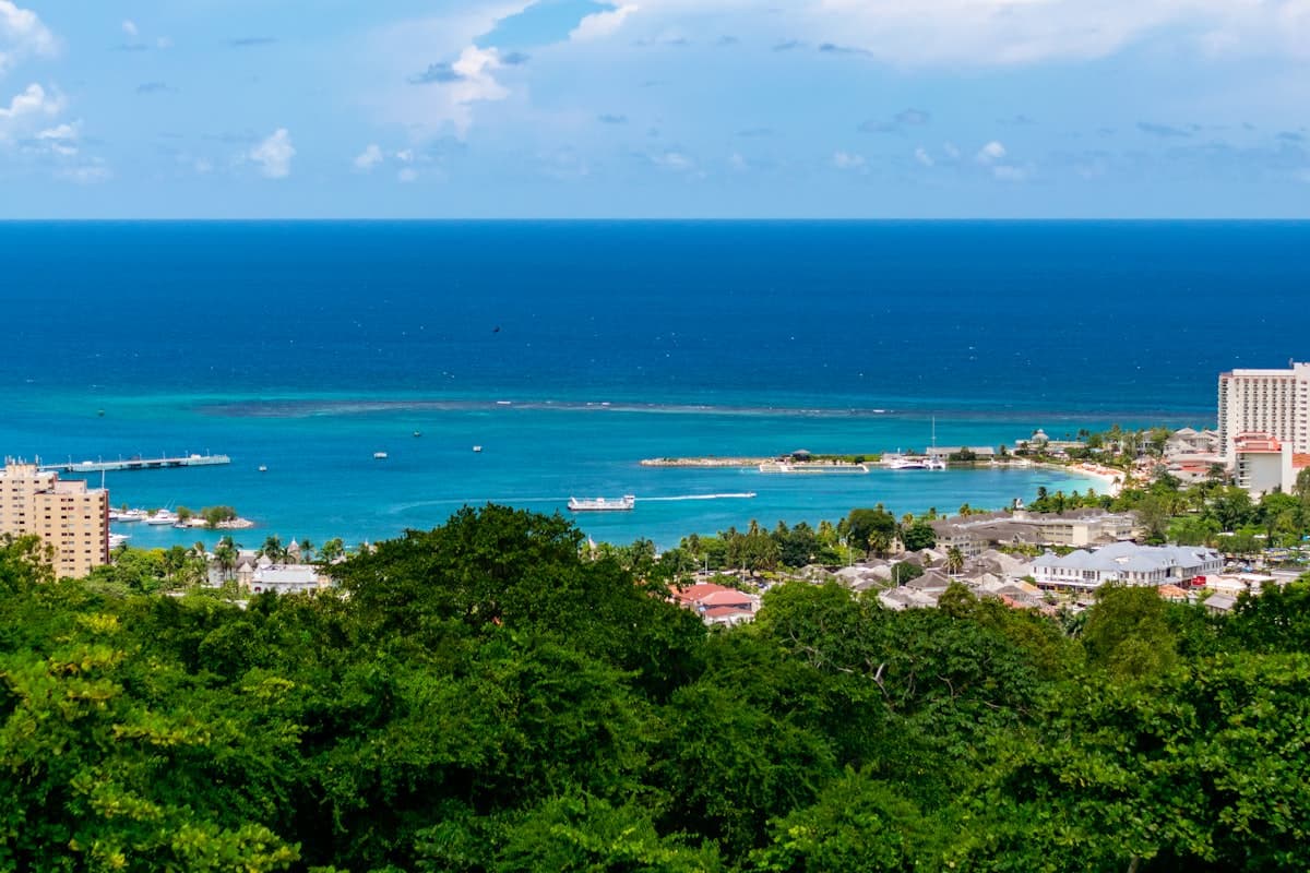 Palm-lined Caribbean beach, Jamaica