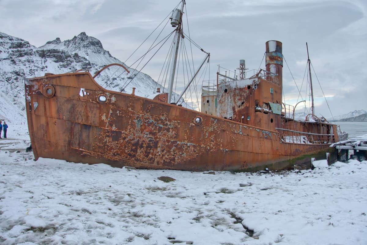 Glacier and wildlife in the sub-Antarctic, South Georgia